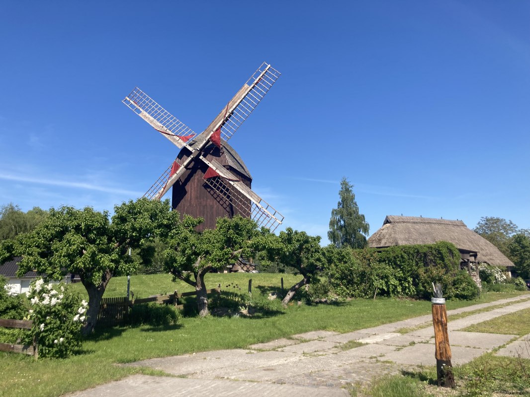 Zicht op de Eldena molen met de kunstschuur op de achtergrond. // © Martin Weidemeier Zicht op de Eldena molen met de kunstschuur op de achtergrond. // © Martin Weidemeier