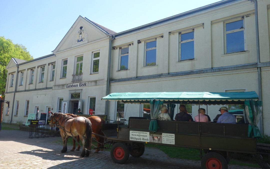 Boek Manor House, © TDG Rechlin mbH