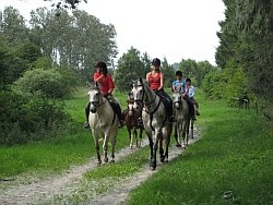 Discover the Island of R&uuml;gen on horseback with Reiterhof Gro&szlig;-Stubben // &copy; Reit- und Fahrverein Poseritz e.V./ Thomas Krimmling