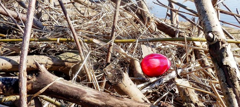 © NZK-Lehmann © NZK-Lehmann