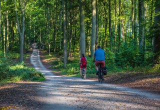 © insel-fotograf.eu, Andreas Dumke © insel-fotograf.eu, Andreas Dumke