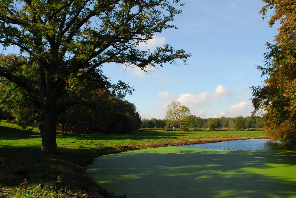 Alt Plestlin Vijverpark, © Friedrich Diestelmeier
