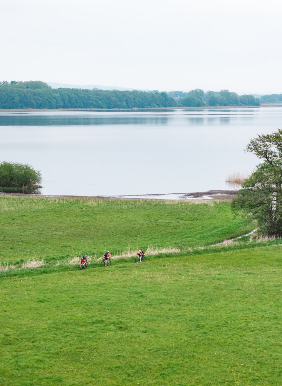 Het paalwoning aan de westelijke oever van Lake Malchin biedt het beste uitzicht om de natuur en vogels te observeren.