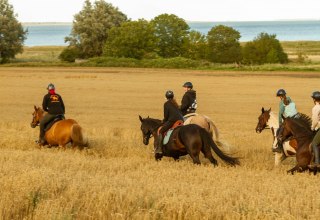 &copy; bernsteinreiter