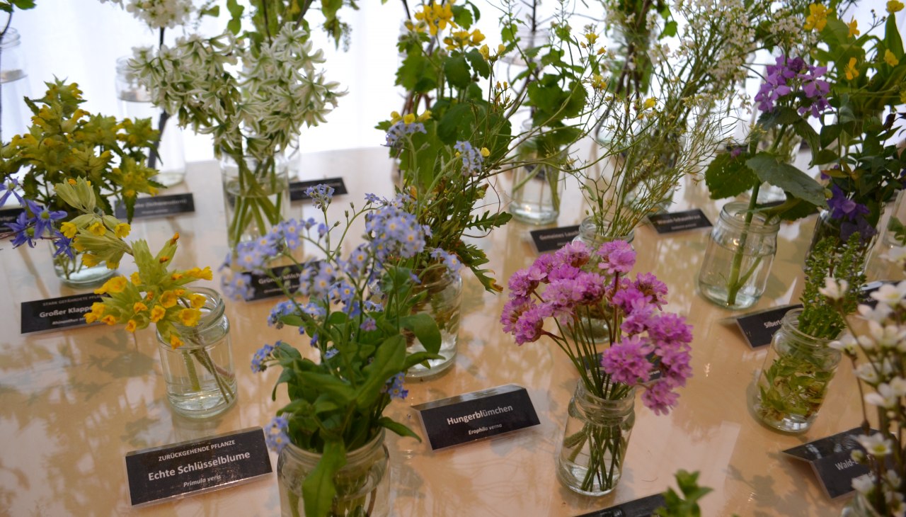 Flower table in local history museum, © Hafen- und Kurbetrieb