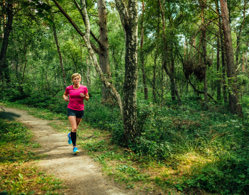 Kopia final_Banner Fleesensee Klänge 342 × 175 mm.pdf.pdf (92 x 72 mm) (1), © TMV/Tiemann Kopia final_Banner Fleesensee Klänge 342 × 175 mm.pdf.pdf (92 x 72 mm) (1), © TMV/Tiemann