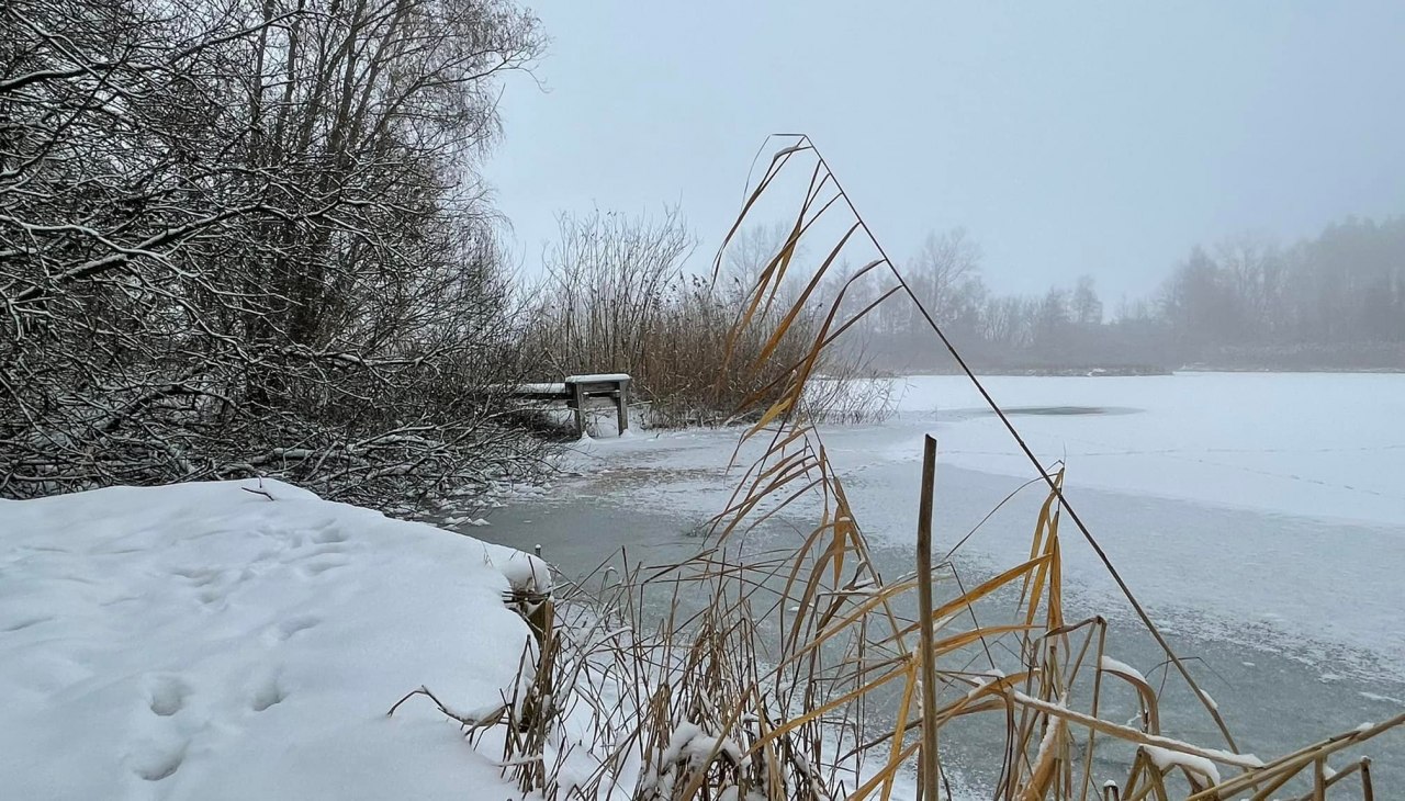 Saaler Tonkuhlen 4, &copy; TZ S&uuml;dliche Boddenk&uuml;ste