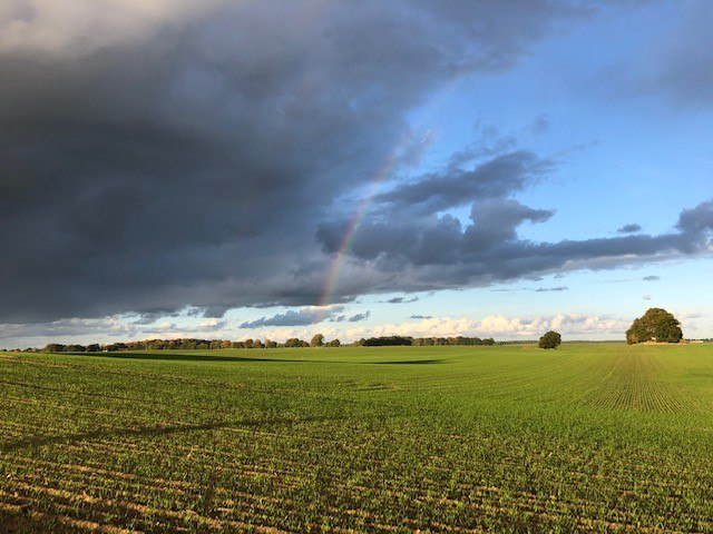 Gnewitz megalithic tomb2, © TMV