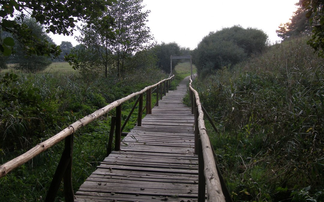 Plank path, © Foto: Outdooractive Redaktion