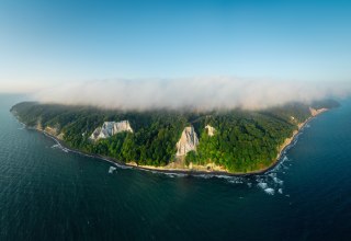 Eine beeindruckende Steilk&uuml;ste mit wei&szlig;en Kreidefelsen, dicht bewaldeten H&auml;ngen und dem Meer im Vordergrund. // &copy; Nationalpark-Zentrum K&Ouml;NIGSSTUHL / Dan Petermann