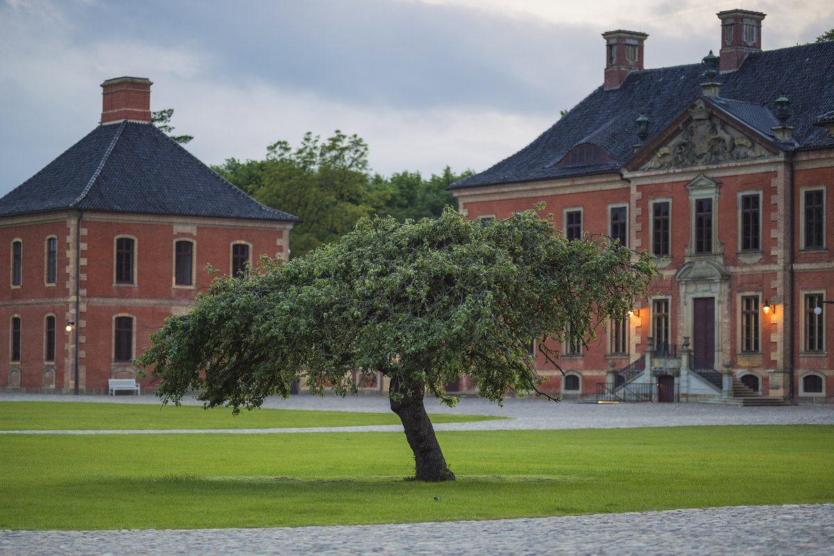 &copy; SSGK M-V Fotograf Timm Allrich