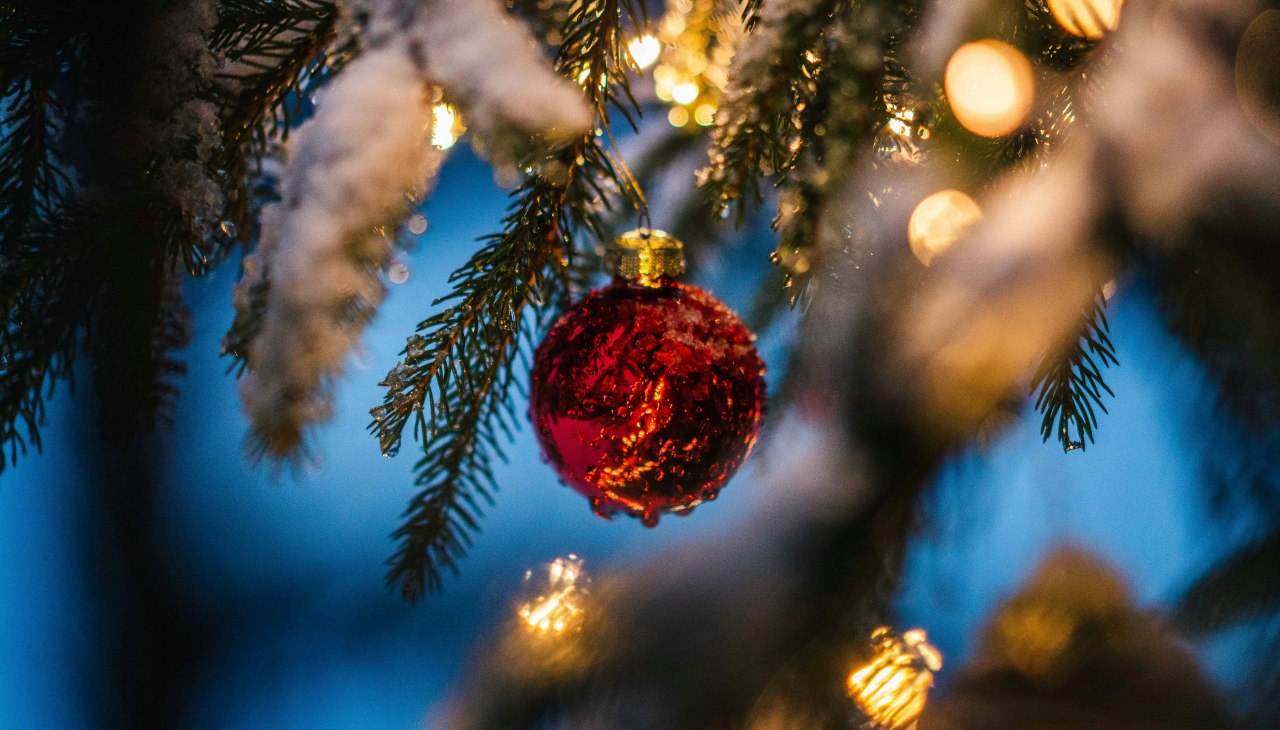 Zdjęcie symbolu, © Foto von Silas Baisch auf Unsplash Zdjęcie symbolu, © Foto von Silas Baisch auf Unsplash