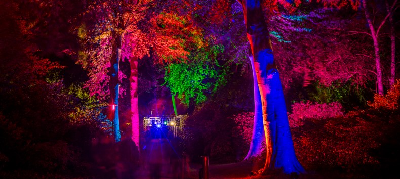 "Night in the park" - a relaxed light art event // © André Pristaff / Tourismus- und Kur GmbH Graal-Müritz "Night in the park" - a relaxed light art event // © André Pristaff / Tourismus- und Kur GmbH Graal-Müritz