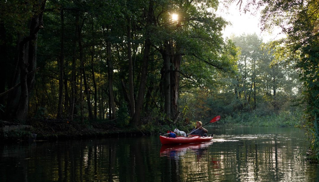 A person paddles with a dog in a kayak across a quiet arm of the Havel in the morning light, surrounded by dense forest. // Experience nature on the Havel - paddle comfortably in a kayak through the tranquil waters of Mecklenburg-Vorpommern and enjoy the magic of the forest. // © MV-T/Fliedner A person paddles with a dog in a kayak across a quiet arm of the Havel in the morning light, surrounded by dense forest.