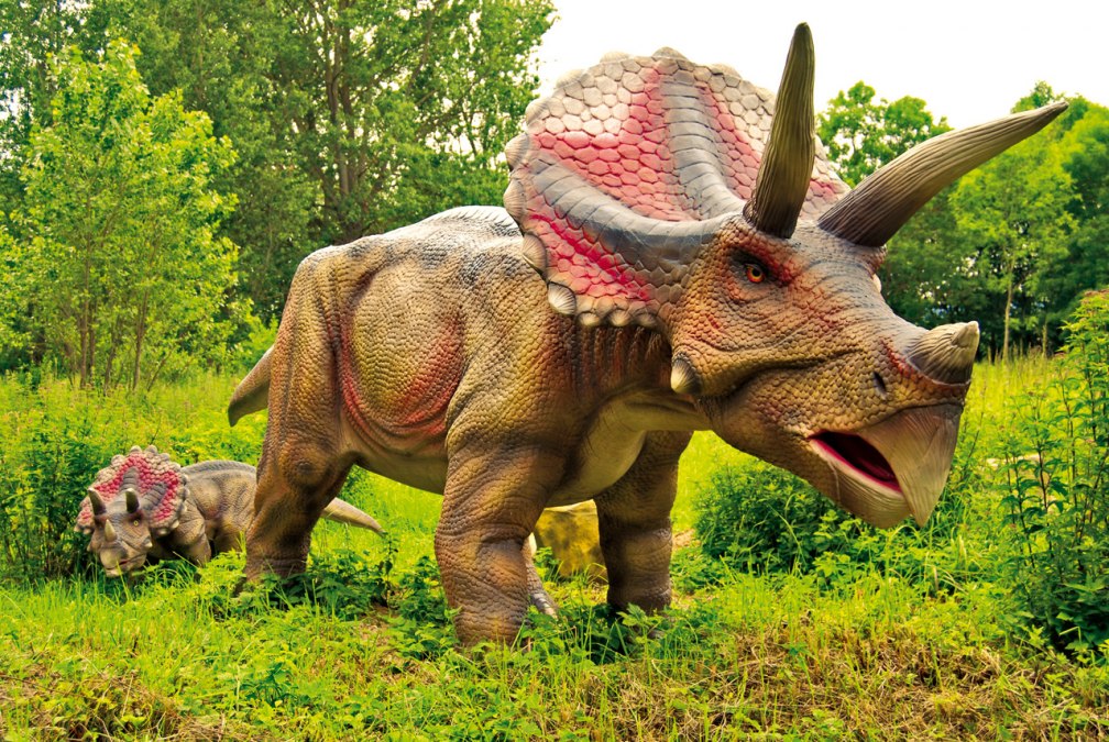 Triceratops, © Marcel Kunkel