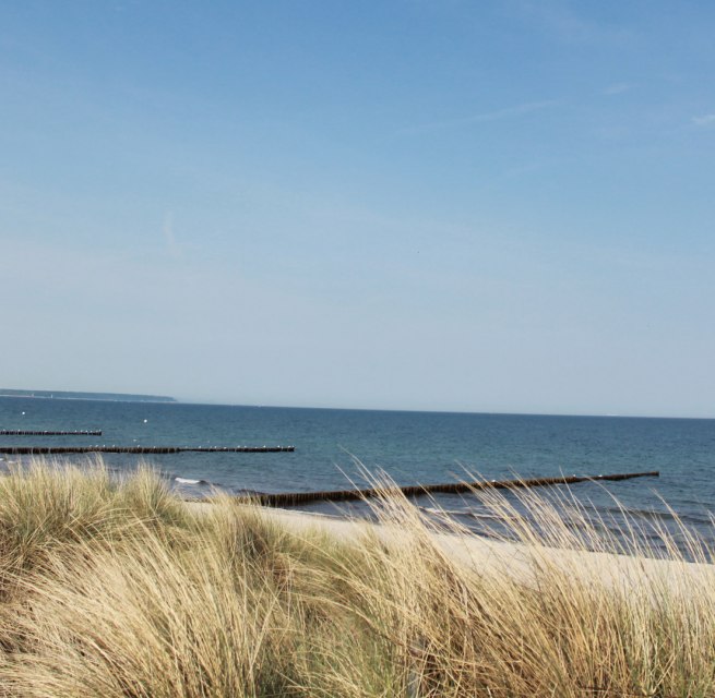 Strand in Markgrafenheide // &copy; TZRW