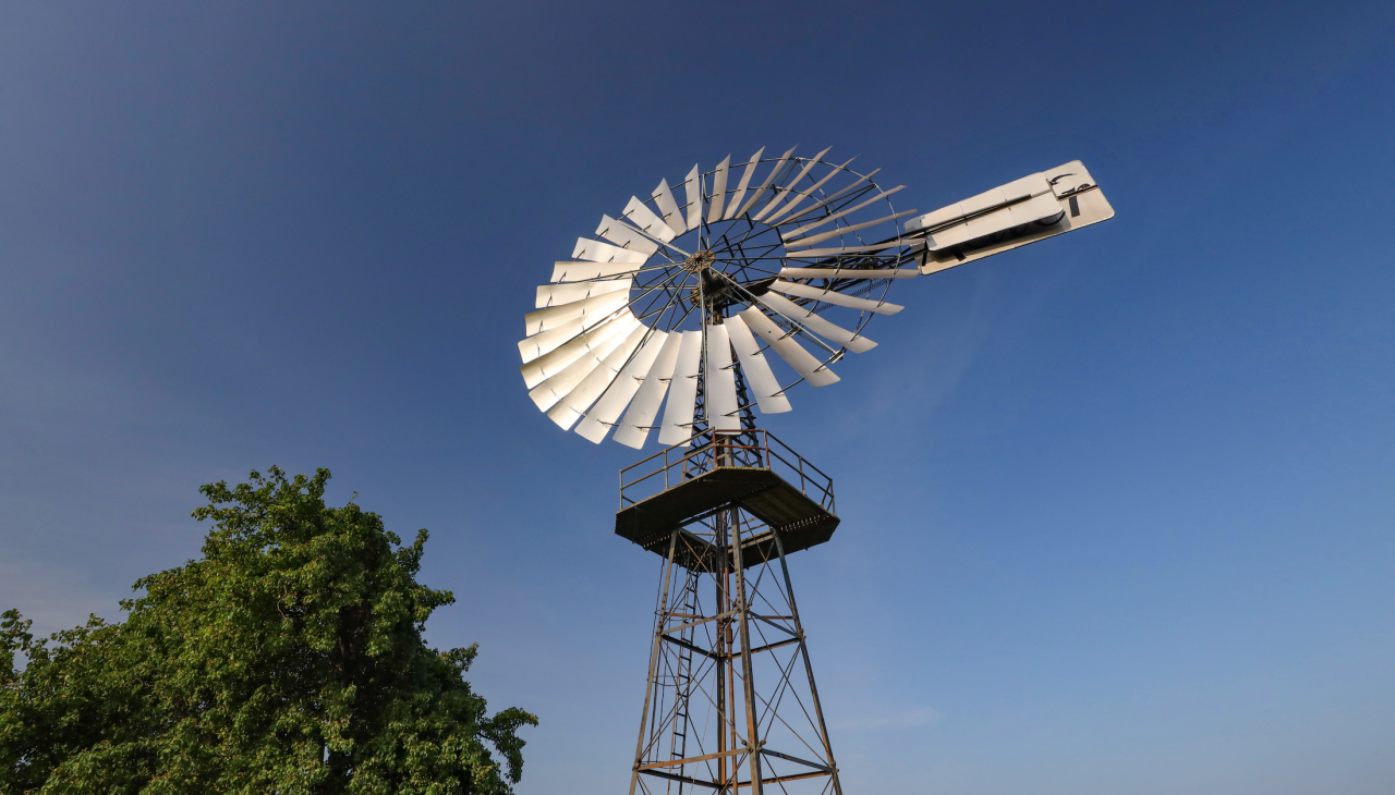 windshoe plant-lobbe_6, &copy; TMV/Gohlke