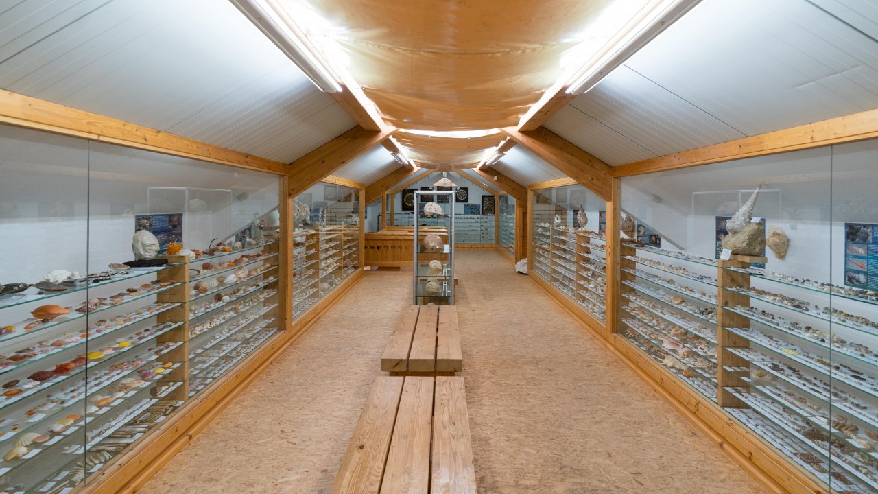 Naturschatzkammer (14)-min, © Moritz Kertzscher Naturschatzkammer (14)-min, © Moritz Kertzscher