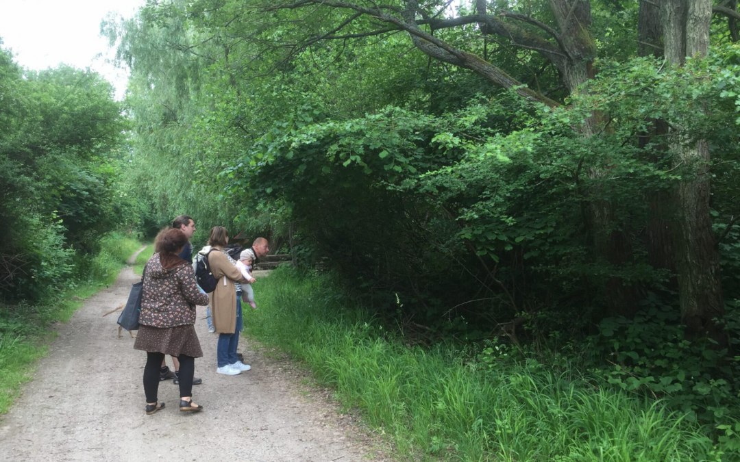 forest knowledge, © Gemeinde Ostseebad Glowe