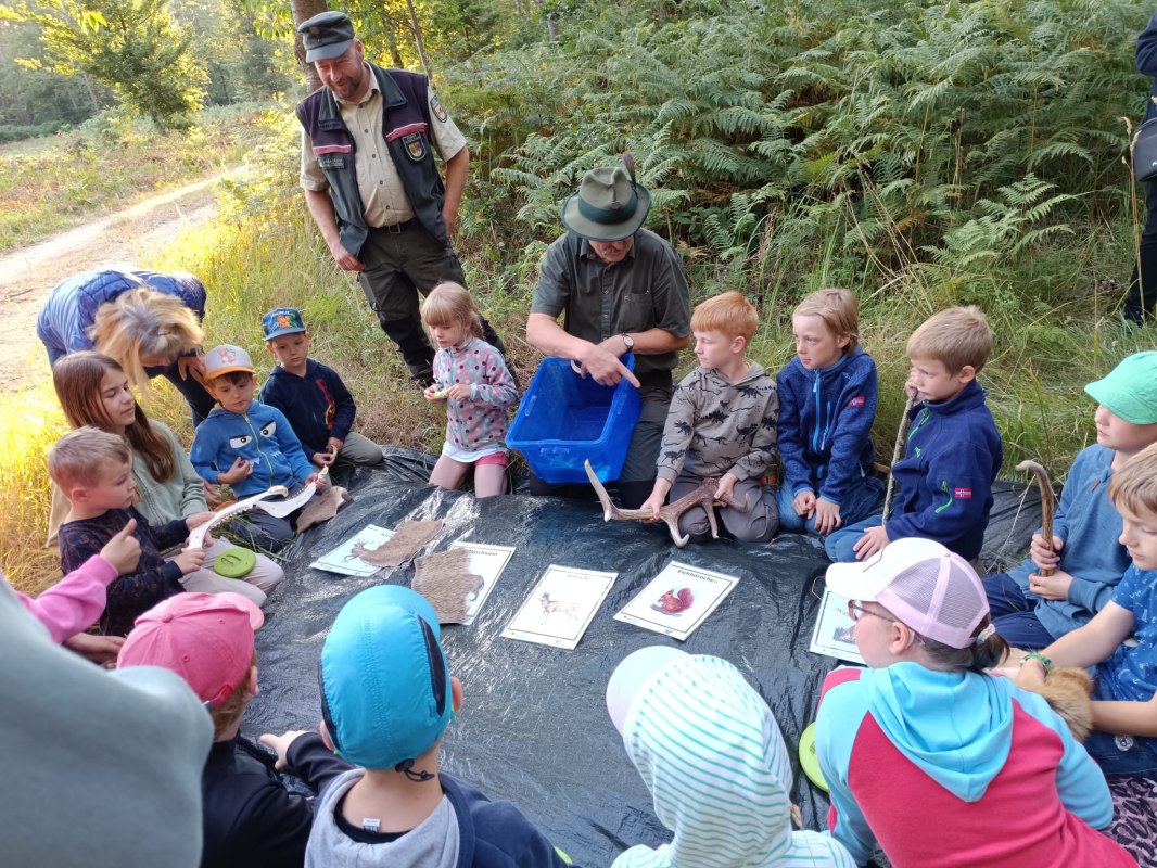 IMG-20250711-WA0016, © Tourismusbetrieb Mönkebude BgA IMG-20250711-WA0016, © Tourismusbetrieb Mönkebude BgA