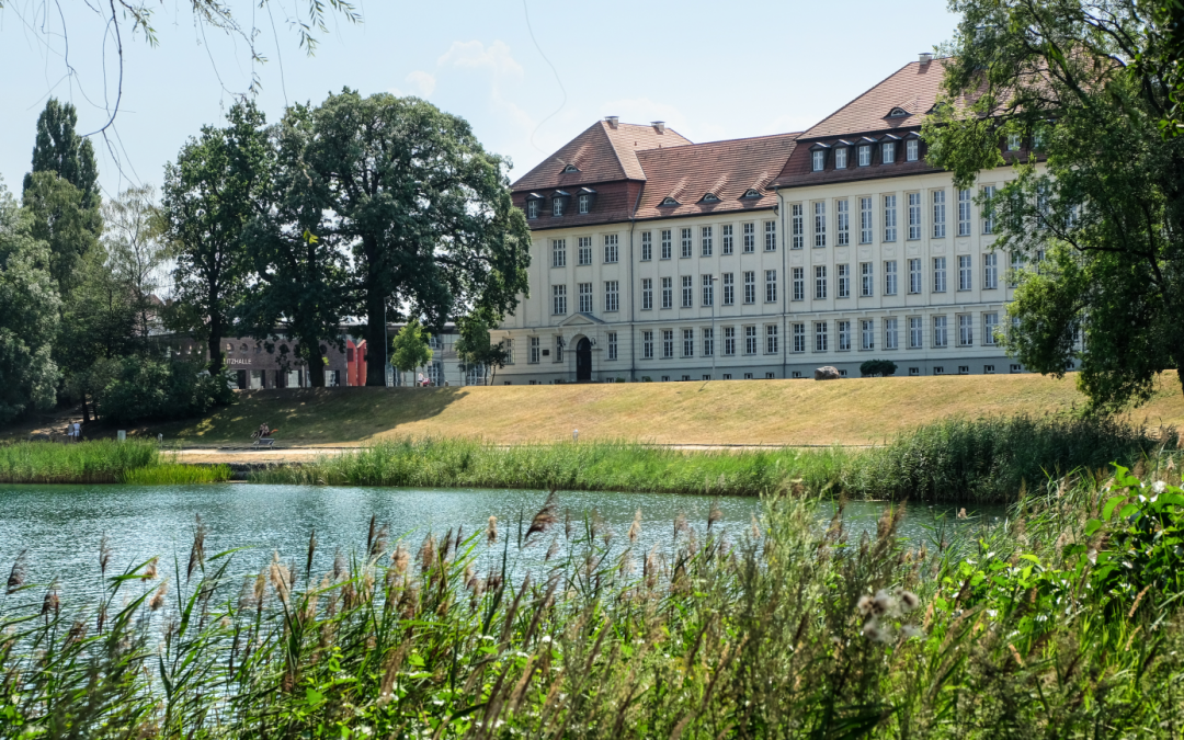 2025-03-27 14_08_52-neustrelitz-haerter-55.JPG - IrfanView (Zoom_ 1569 x 1046), © Stadt Neustrelitz