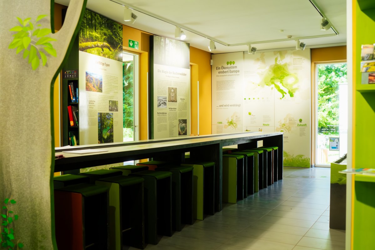 Sala wystawowa z tablicami informacyjnymi, motywami roślinnymi i rzędem stołków przy długiej ladzie. // © Nationalaprk-Zentrum KÖNIGSSTUHL Sala wystawowa z tablicami informacyjnymi, motywami roślinnymi i rzędem stołków przy długiej ladzie. // © Nationalaprk-Zentrum KÖNIGSSTUHL