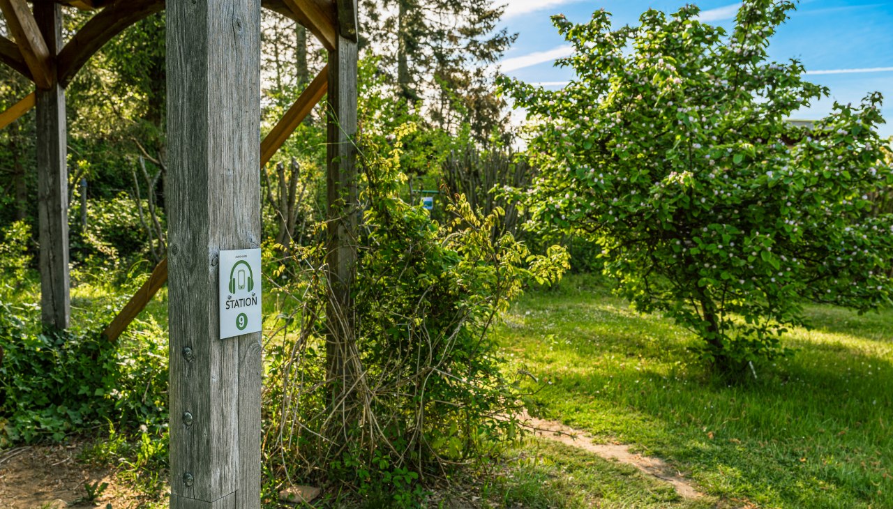 Wangeliner Garten Ganzlin_4, © TMV/Tiemann