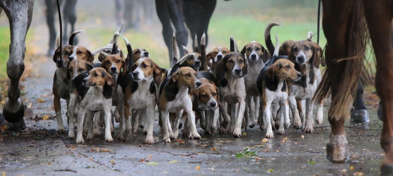 © Sven Strauß © Sven Strauß