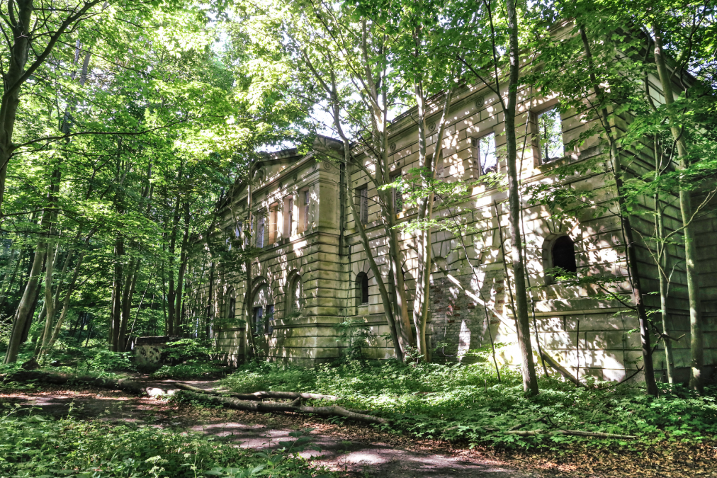 castle-ruins-wasieden_3, &copy; TMV/Gohlke