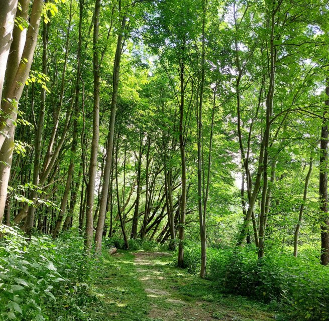 © TZ HST/Kredl © TZ HST/Kredl