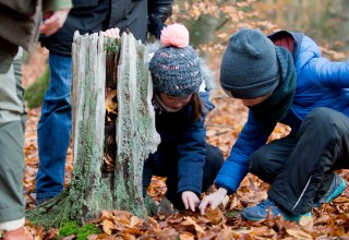 © Mareike Timm © Mareike Timm