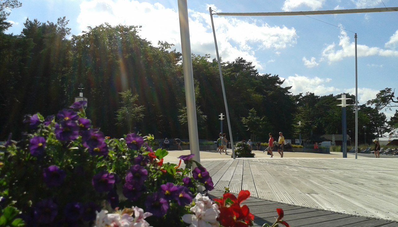 &copy; Kurb&uuml;hne mit Blumen