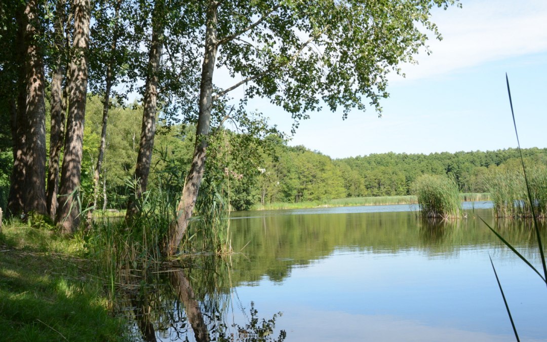 Stawy karpiowe w pobliżu Voigtsdorf, © Tourismusverband Mecklenburg-Schwerin