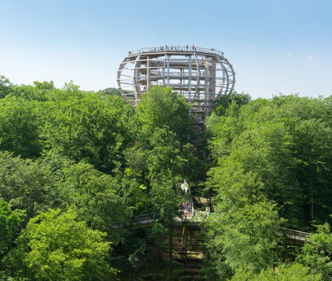 Der Baumwipfelpfad mit dem Aussichtsturm &bdquo;Adlerhorst&ldquo; liegt inmitten eines Buchenwaldes in Prora auf der Insel R&uuml;gen. // &copy; Erlebnis Akademie AG / Naturerbe Zentrum R&uuml;gen