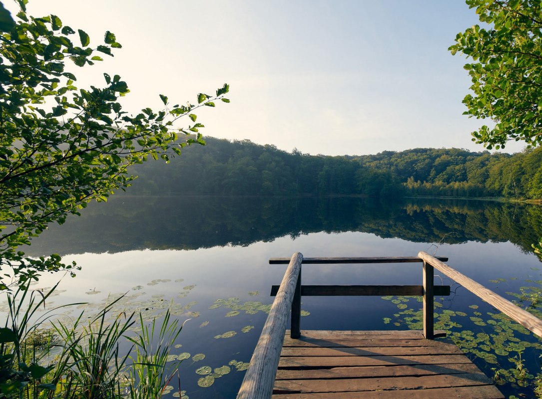 Zwart meer in de Granitz, © Stefan Pocha Zwart meer in de Granitz, © Stefan Pocha