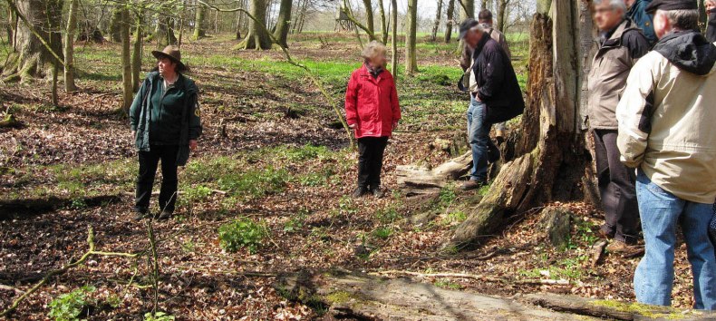 &copy; Biosph&auml;renreservat Schaalsee-Elbe