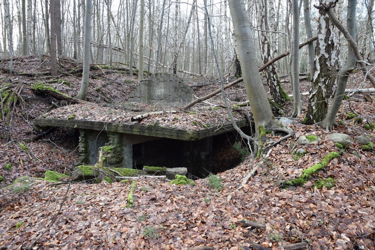 Structurele sporen van het satellietkamp Neubrandenburg op de locatie Waldbau // © Bianka Bülow Structurele sporen van het satellietkamp Neubrandenburg op de locatie Waldbau // © Bianka Bülow