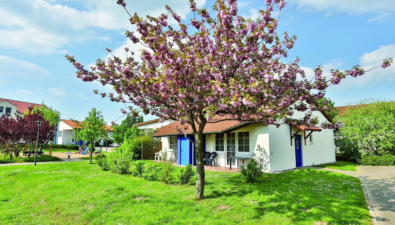 Rodzinna wioska wakacyjna Rerik, © AWO SANO gGmbH Rodzinna wioska wakacyjna Rerik, © AWO SANO gGmbH