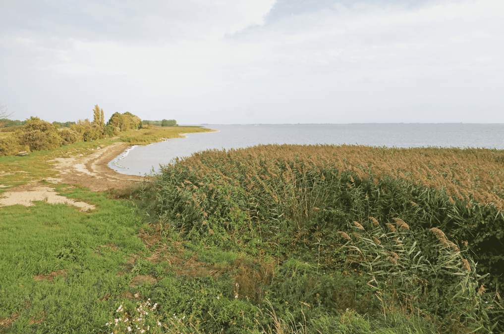 Water access, © TMV/Gohlke