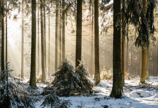 © Foto von Babette Landmesser auf Unsplash © Foto von Babette Landmesser auf Unsplash