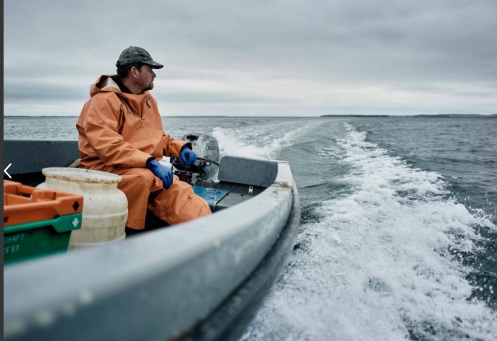 André Grählert, © landaktiv e.V./ Sebastian Dobrietz