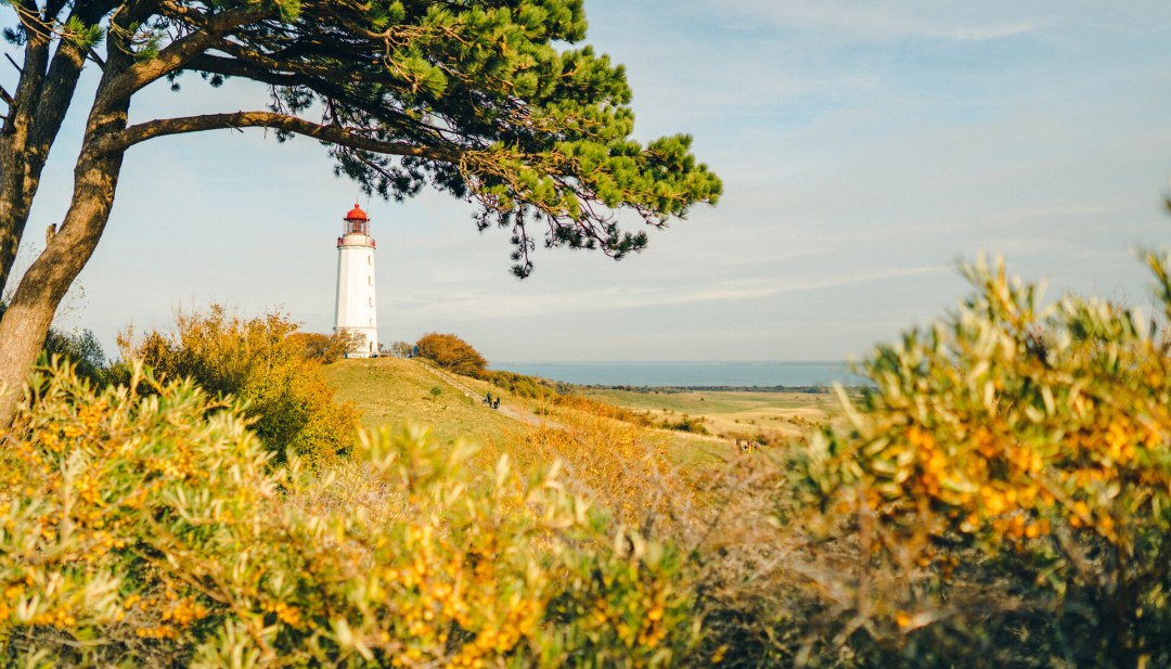 Een ansichtkaartmotief bij uitstek: de vuurtoren van Dornbusch is het herkenningspunt van het eiland Hiddensee. // © MV-T/Petermann Een ansichtkaartmotief bij uitstek: de vuurtoren van Dornbusch is het herkenningspunt van het eiland Hiddensee. // © MV-T/Petermann