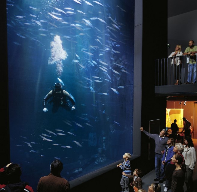 &copy; AndeasDuerst/Werk3