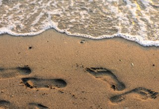 © Bild von Nathan Osman auf Pixabay © Bild von Nathan Osman auf Pixabay