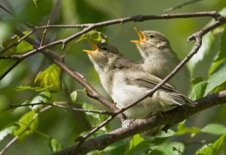 © Elke Riedel © Elke Riedel