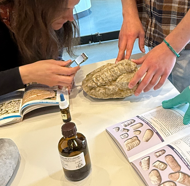 Was ist das für ein Gestein? // © Claudia Siatkowski/Müritzeum Was ist das für ein Gestein? // © Claudia Siatkowski/Müritzeum