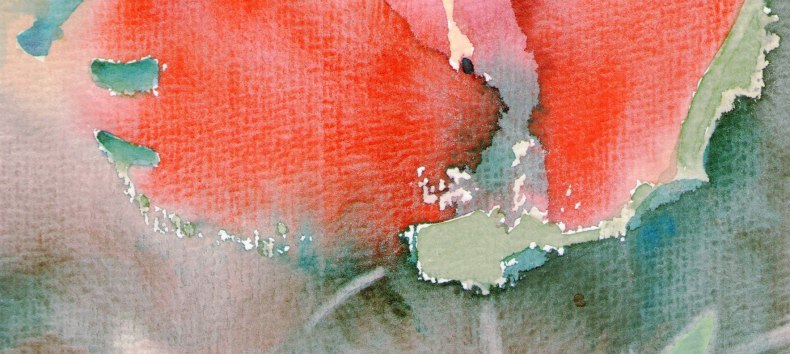 © egon arnold © egon arnold