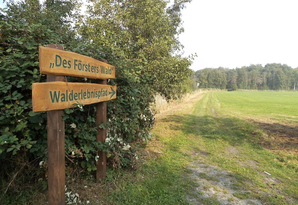 Sign to the forest adventure trail Ummanz, © Tourismuszentrale Rügen