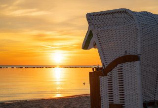 &copy; Pocha Burwitz