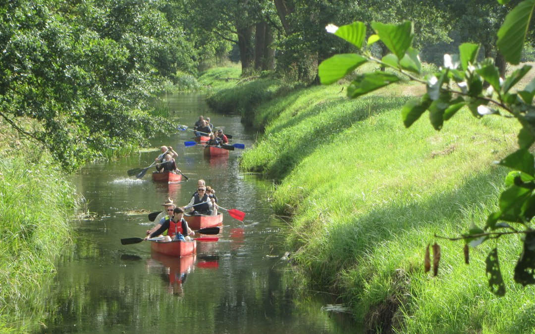 Begeleide kanotocht door het biosfeerreservaat tussen Redefin en Gößlow., © Jessenitzer Aus- und Weiterbildung e.V.